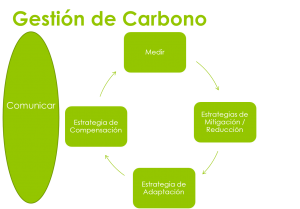 Gestion-de-Carbono1